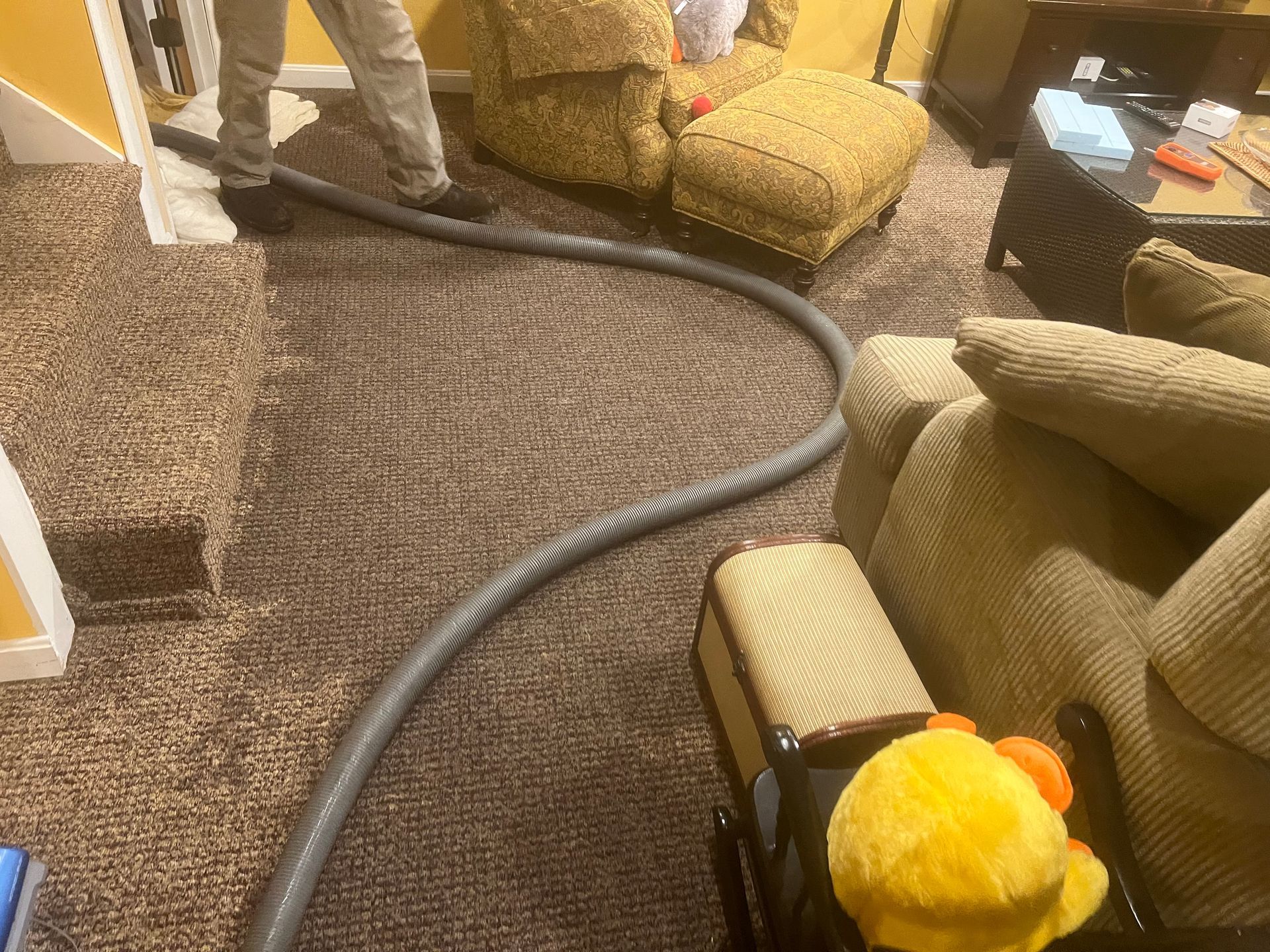 A person is using a vacuum cleaner to clean a carpet in a living room.