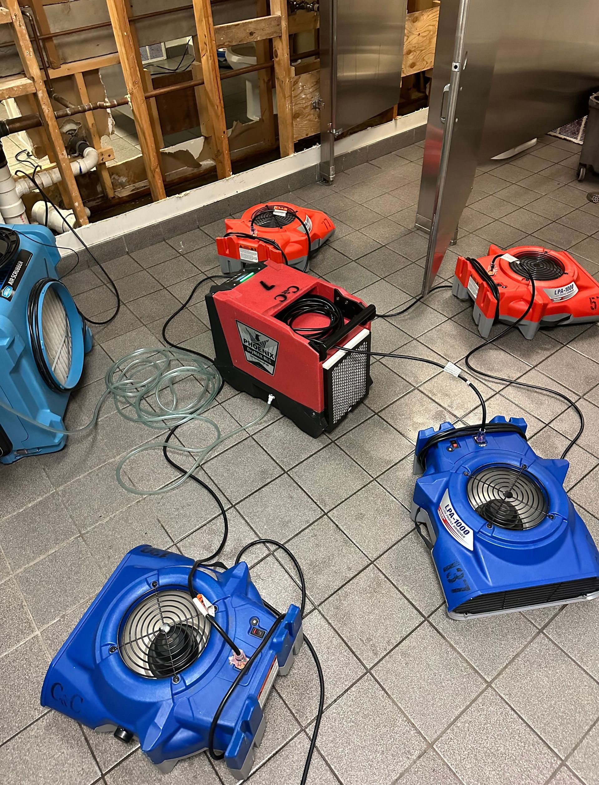 A group of blue and red fans are sitting on a tiled floor.