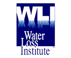 WLI logo