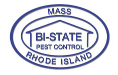 Bi State Pest Control Termite Control Rehoboth Ma