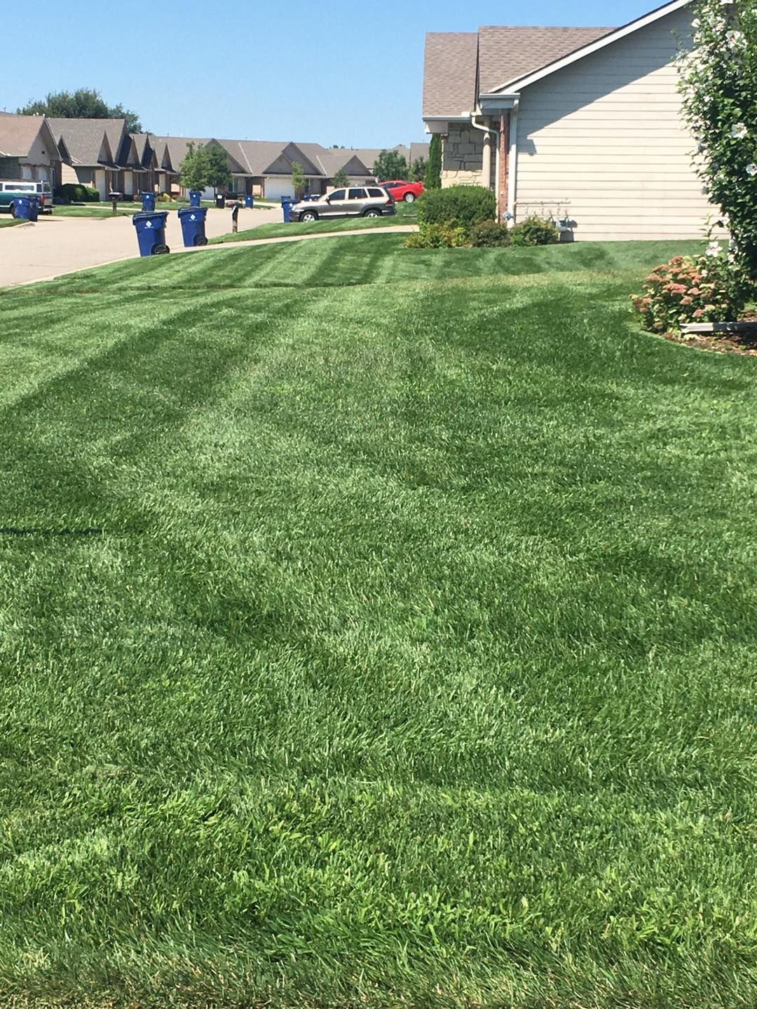 Lawn with stripes; houses in the background on a sunny day.