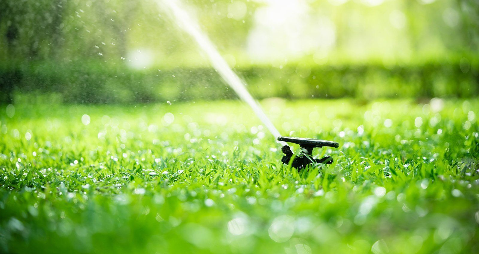 Dixon Sprinkler Service LLC