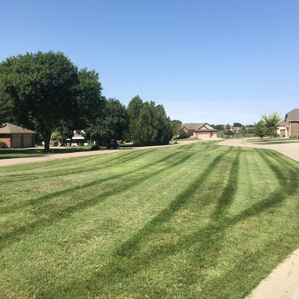 Lawn with fresh mowing stripes, trees, houses, and a clear blue sky in a suburban neighborhood.