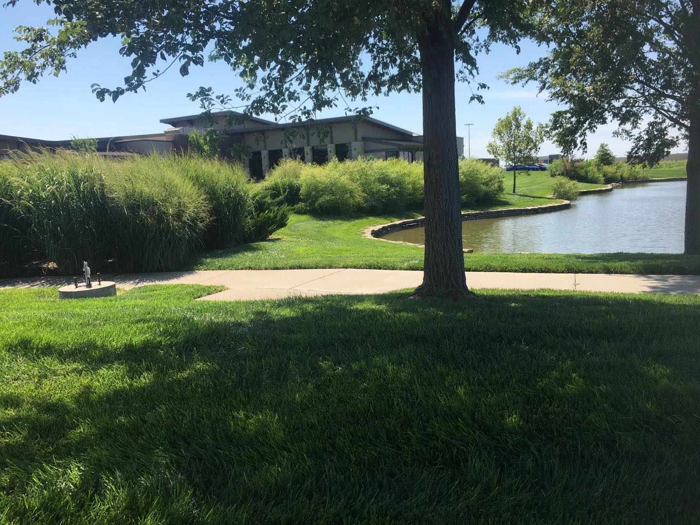 Lush green grass and trees surround a pathway and a calm lake. A building sits in the distance.