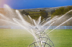 Commercial  Sprinkler Service