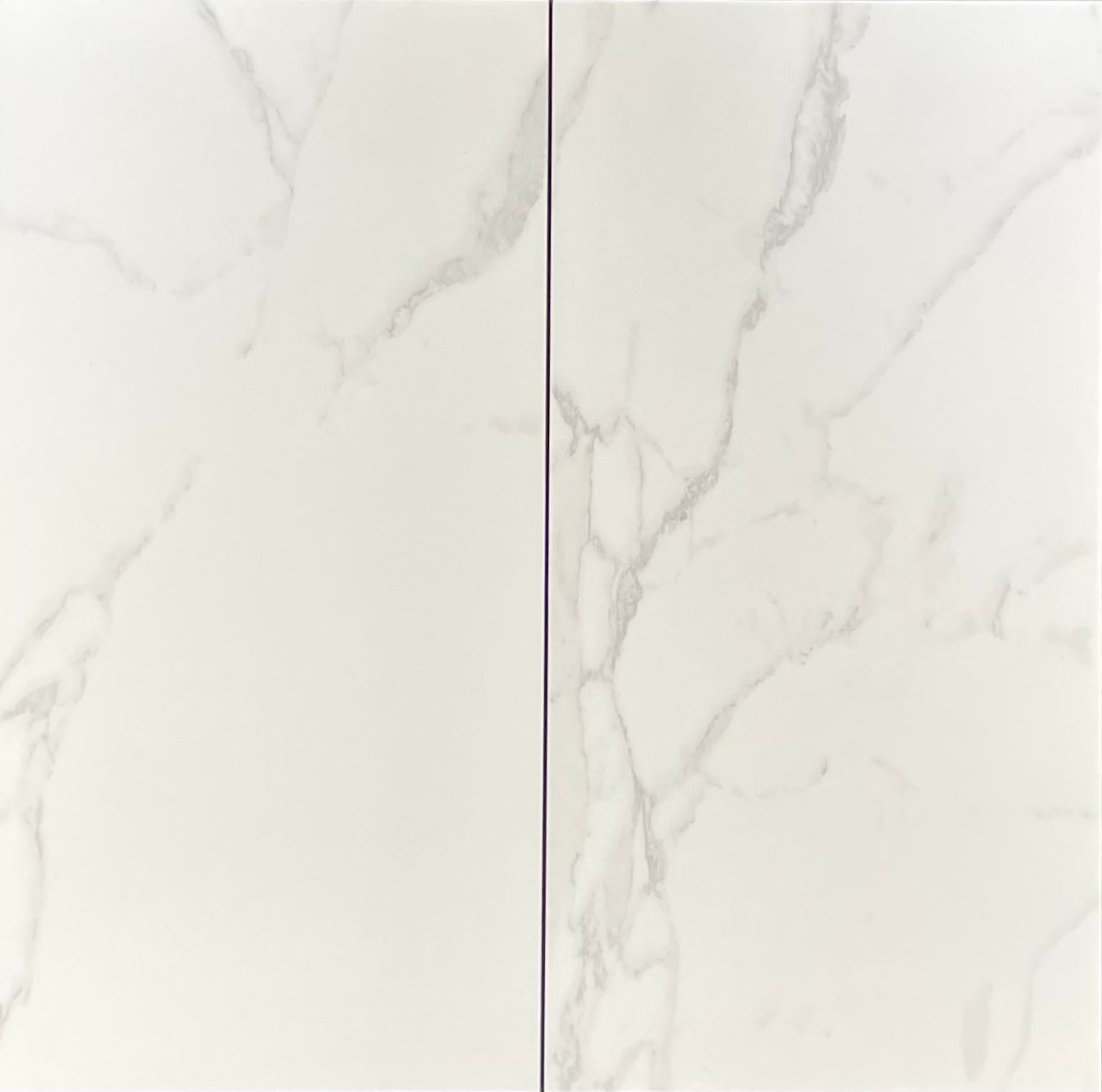 Two white marble-patterned tiles with gray veining, side by side.
