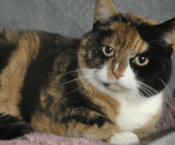 No appointment necessary for nail clipping