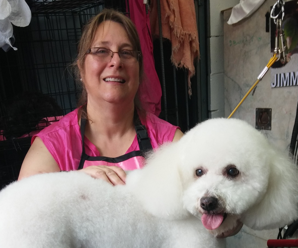 Our groomer has over 30 years experience
