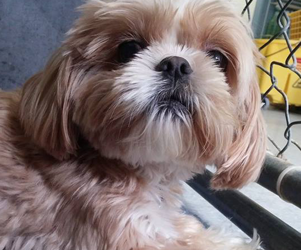 So comfortable, your pet won't want to leave