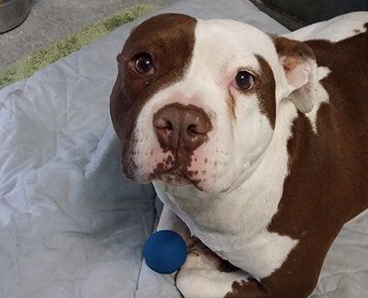 Lisa Webber is the 3rd-generation owner