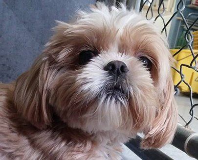 We love our furry friends!