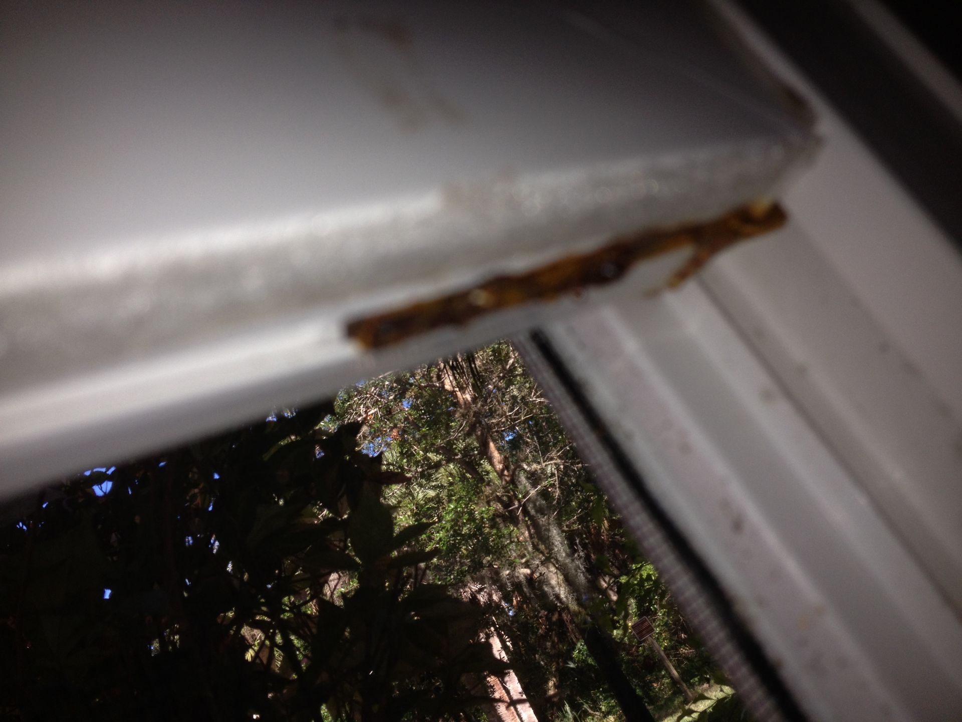 Insulated glass repair