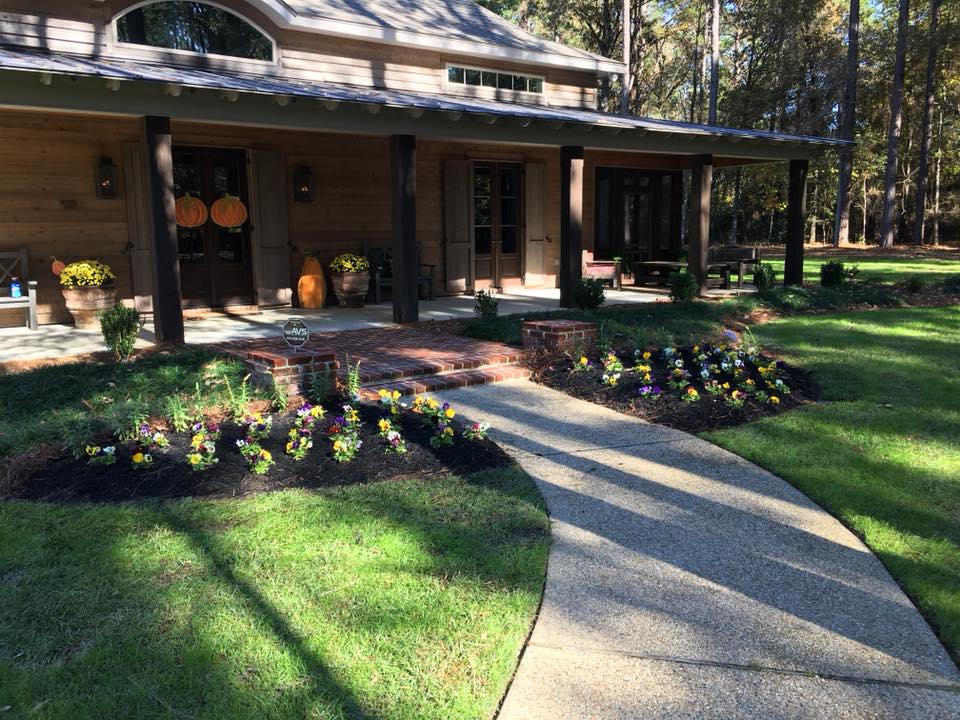 Tree Services Hattiesburg MS Tree Trimming & Lot Clearing Hattiesburg MS
