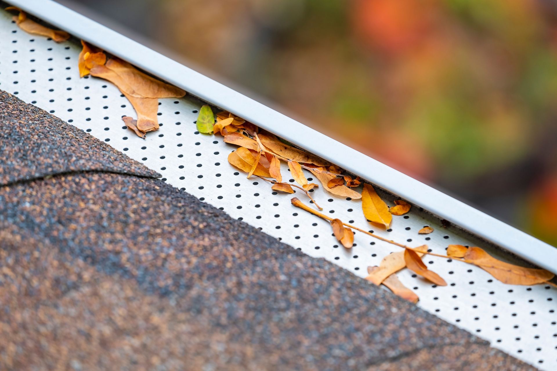 A close up of a gutter with leaves on it on a roof