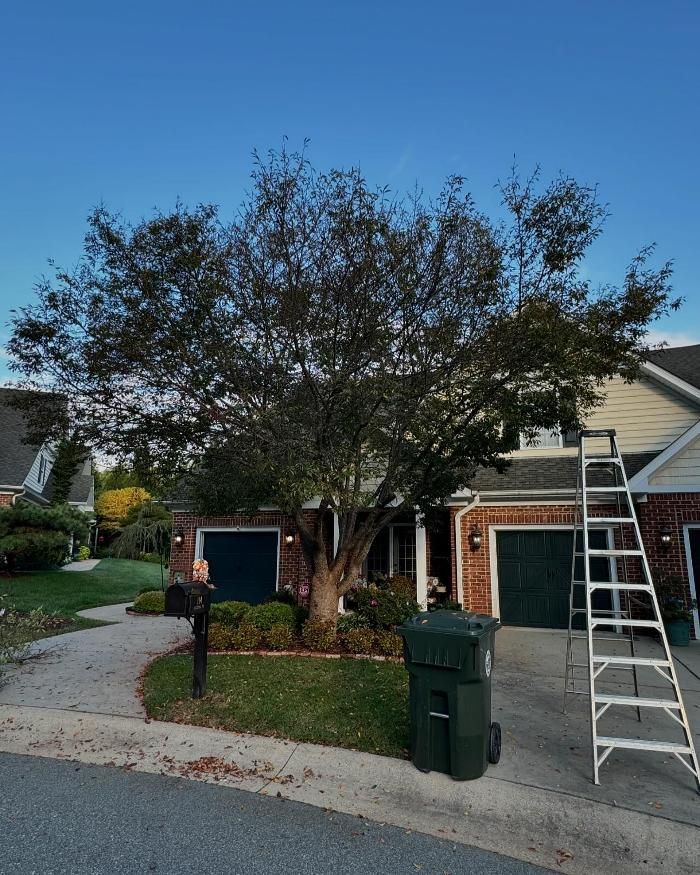A ladder is sitting in front of a brick house