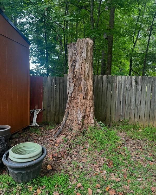 A large tree stump is sitting in the middle of a yard next to a wooden fence.