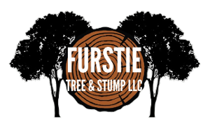 Furstie Tree & Stump logo