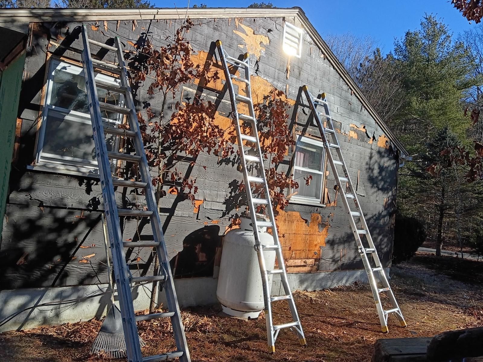 Three ladders propped against a house with peeling paint, bare trees in the background.