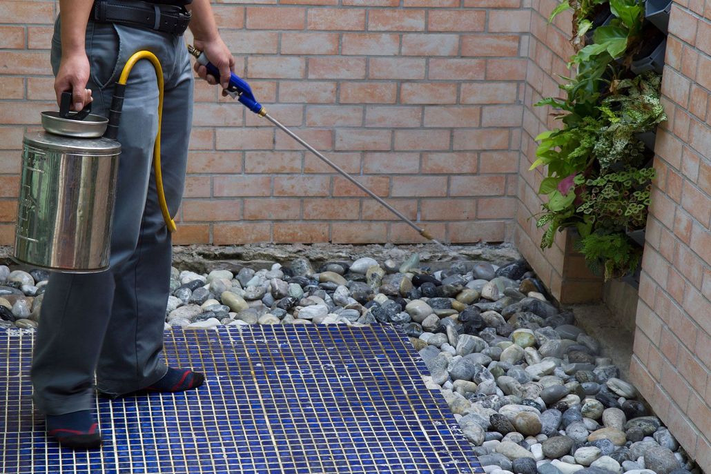 A brown rat eats scattered grain next to a burlap sack labeled with black stenciled letters against a concrete wall.