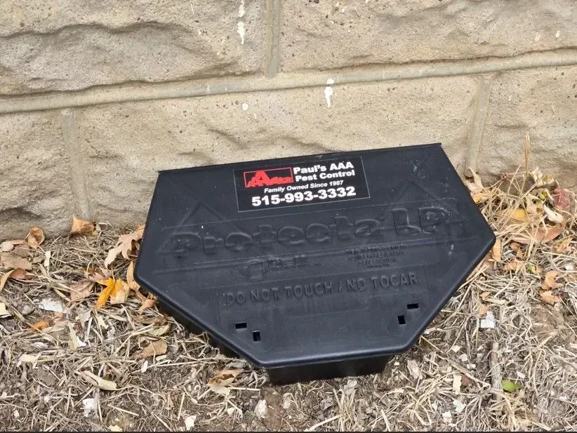 Black pest control bait station on ground near a building.