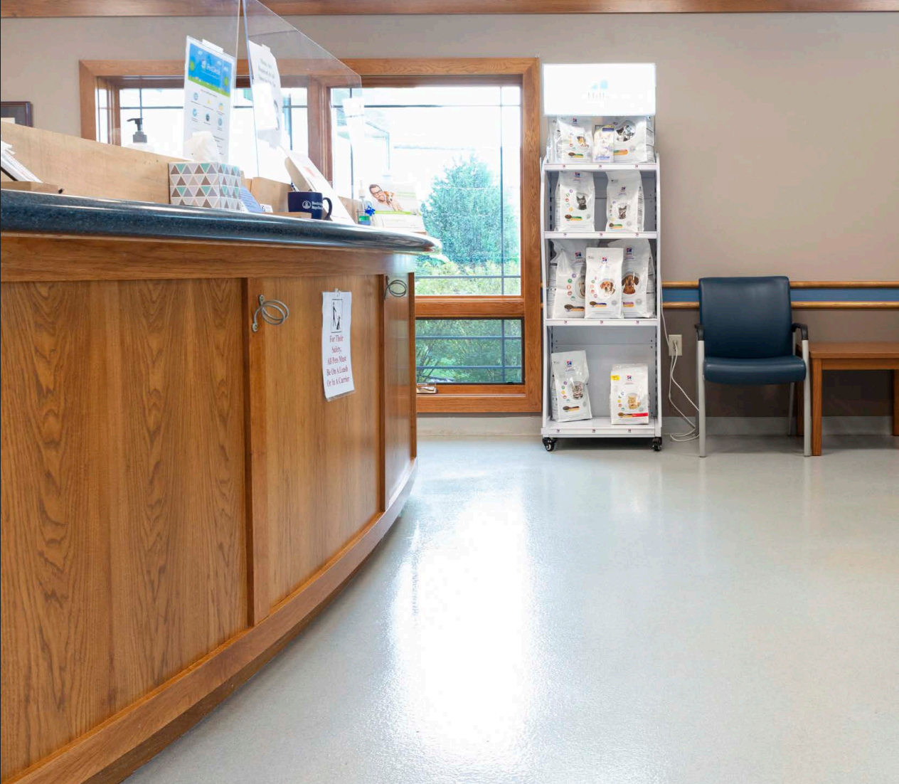 A vet clinic waiting area with a wooden reception desk, product display, and blue chairs. Light-colored floor reflects light.