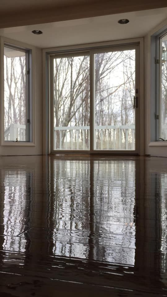 Reflective glossy floor in room with large windows showing bare trees and a white deck outside.