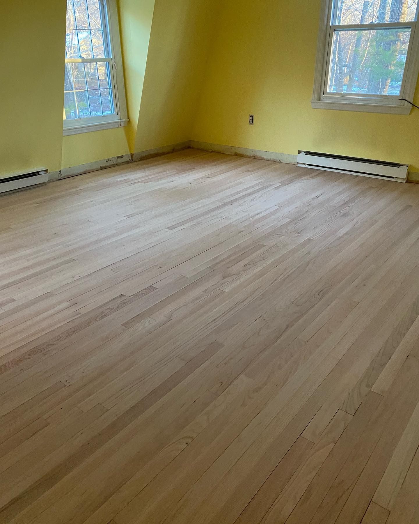 Empty room with light hardwood floors, yellow walls, and two windows.