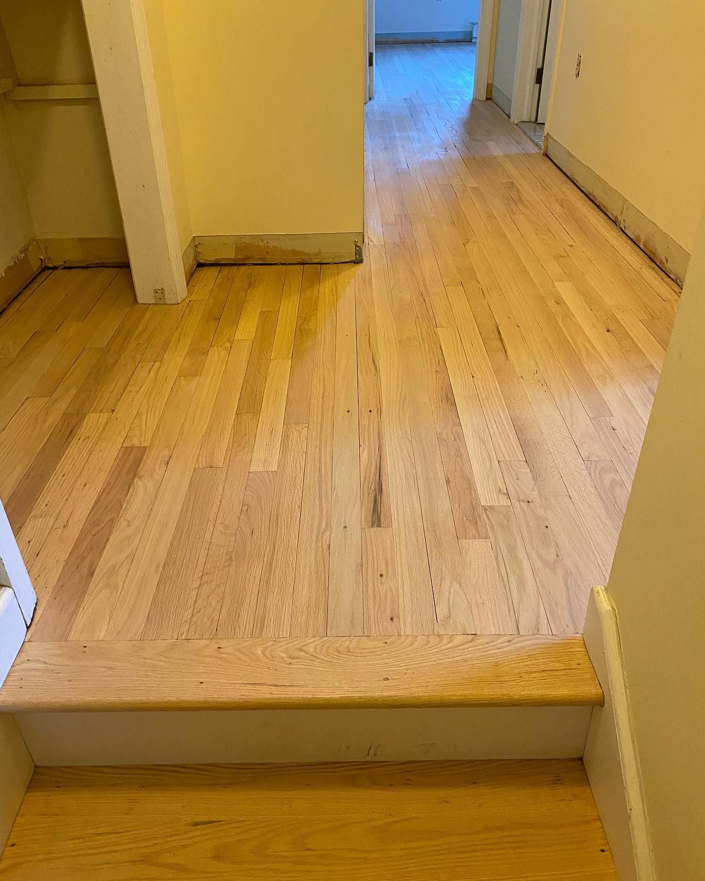 Hardwood floors in a hallway, with a step in the foreground.
