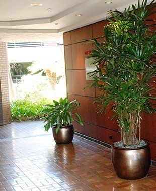 Plant design | Oceanside, CA | Seaside Tropics | 760-295-8052