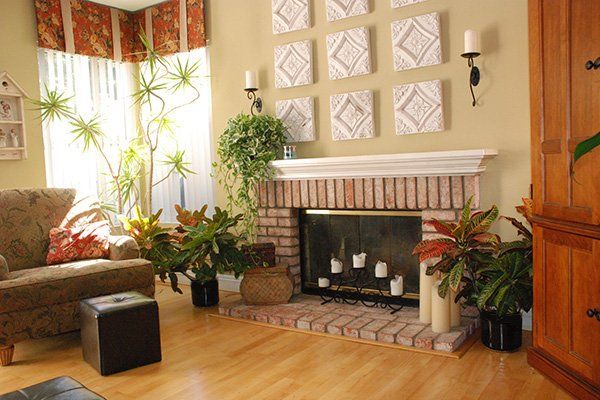 Tropical Plants | Oceanside, CA | Seaside Tropics | 760-295-8052