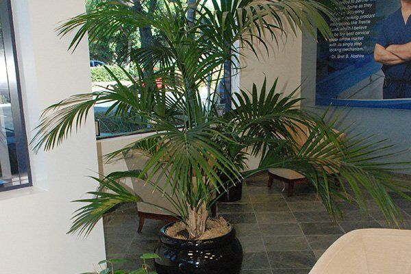 Commercial | Oceanside, CA | Seaside Tropics | 760-295-8052