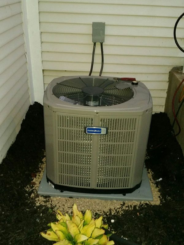 Outdoor air conditioner unit beside a house wall, with a small plant in the foreground