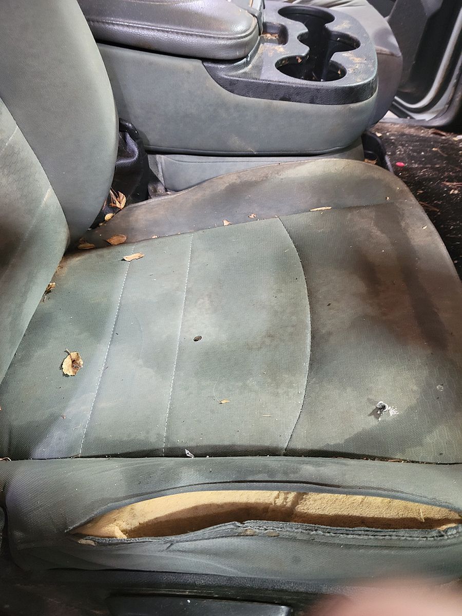 Dirty car seat