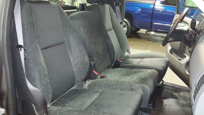 Seat Covered With Animal Fur