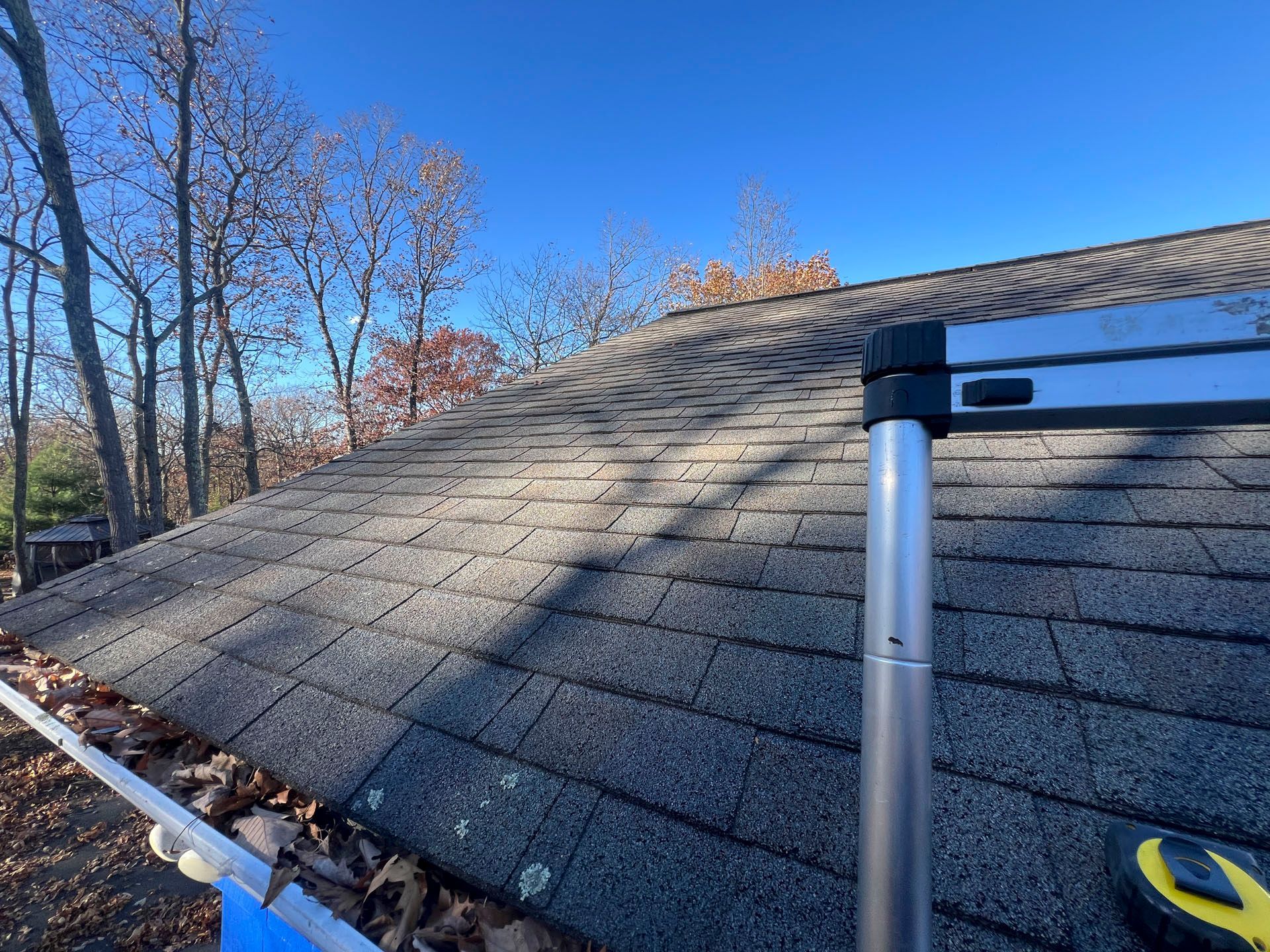 Shingled roof in autumn with trees on the left and a ladder at the right edge