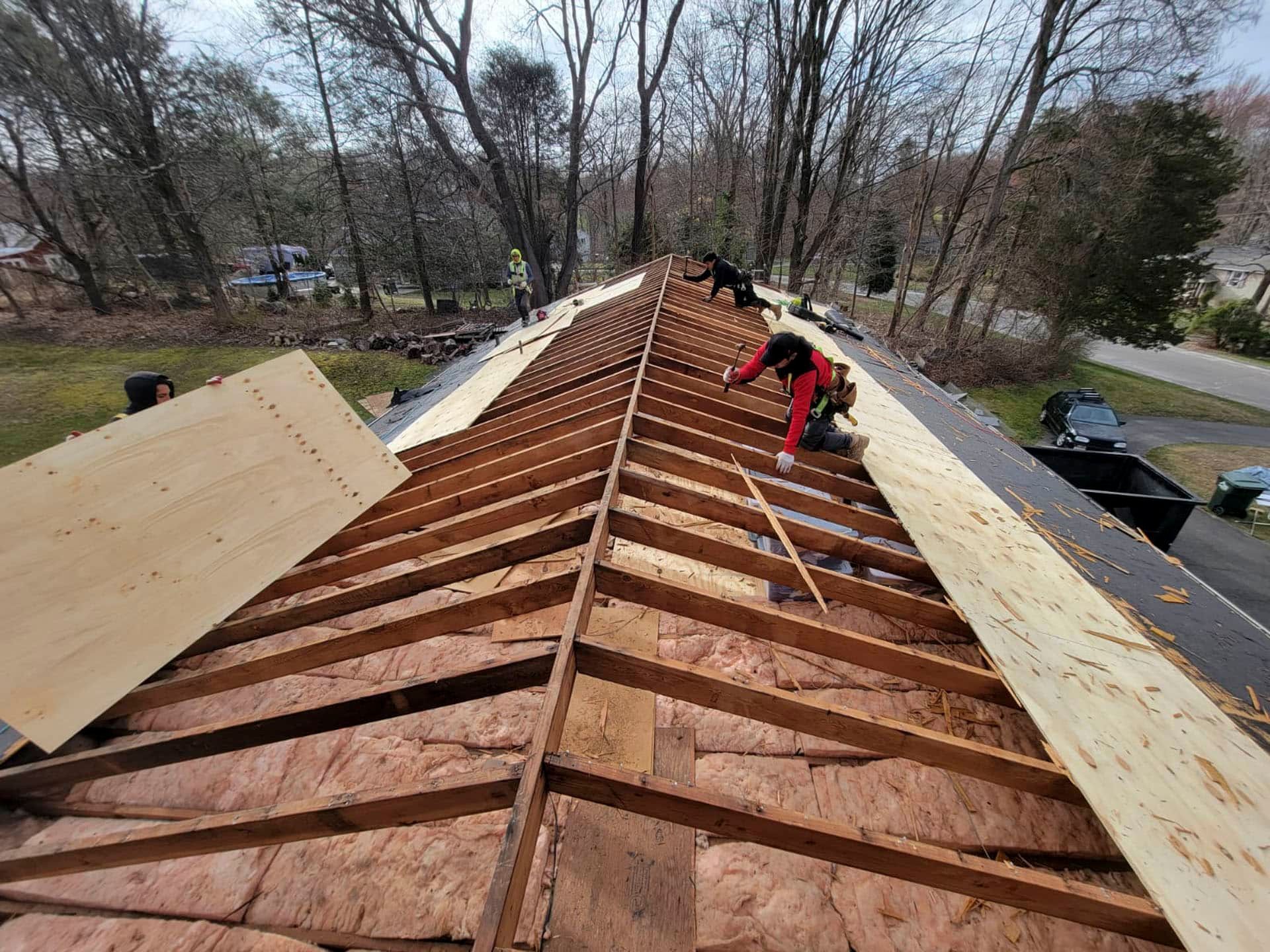 Workers on a steep shingled roof installing plywood underlayment during roof repair