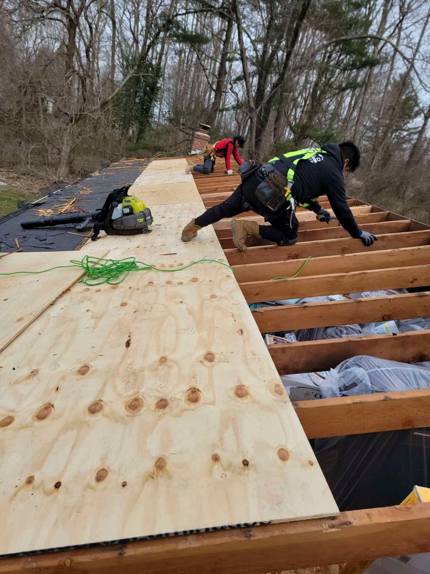 Workers installing plywood on a roof in a wooded area, with exposed rafters and construction tools.
