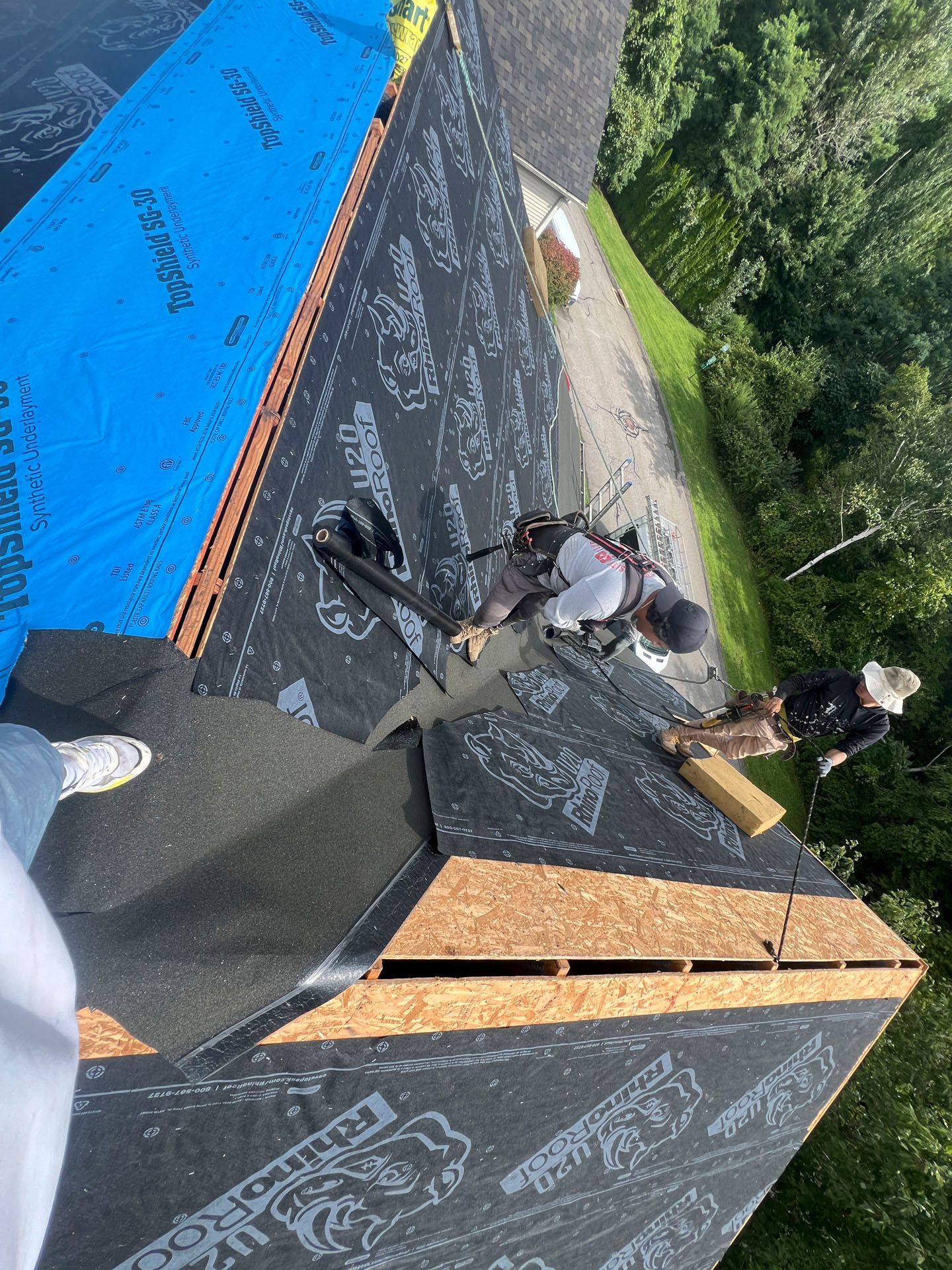 Roofers working on a steep black shingled roof with blue tarp and trees in the background
