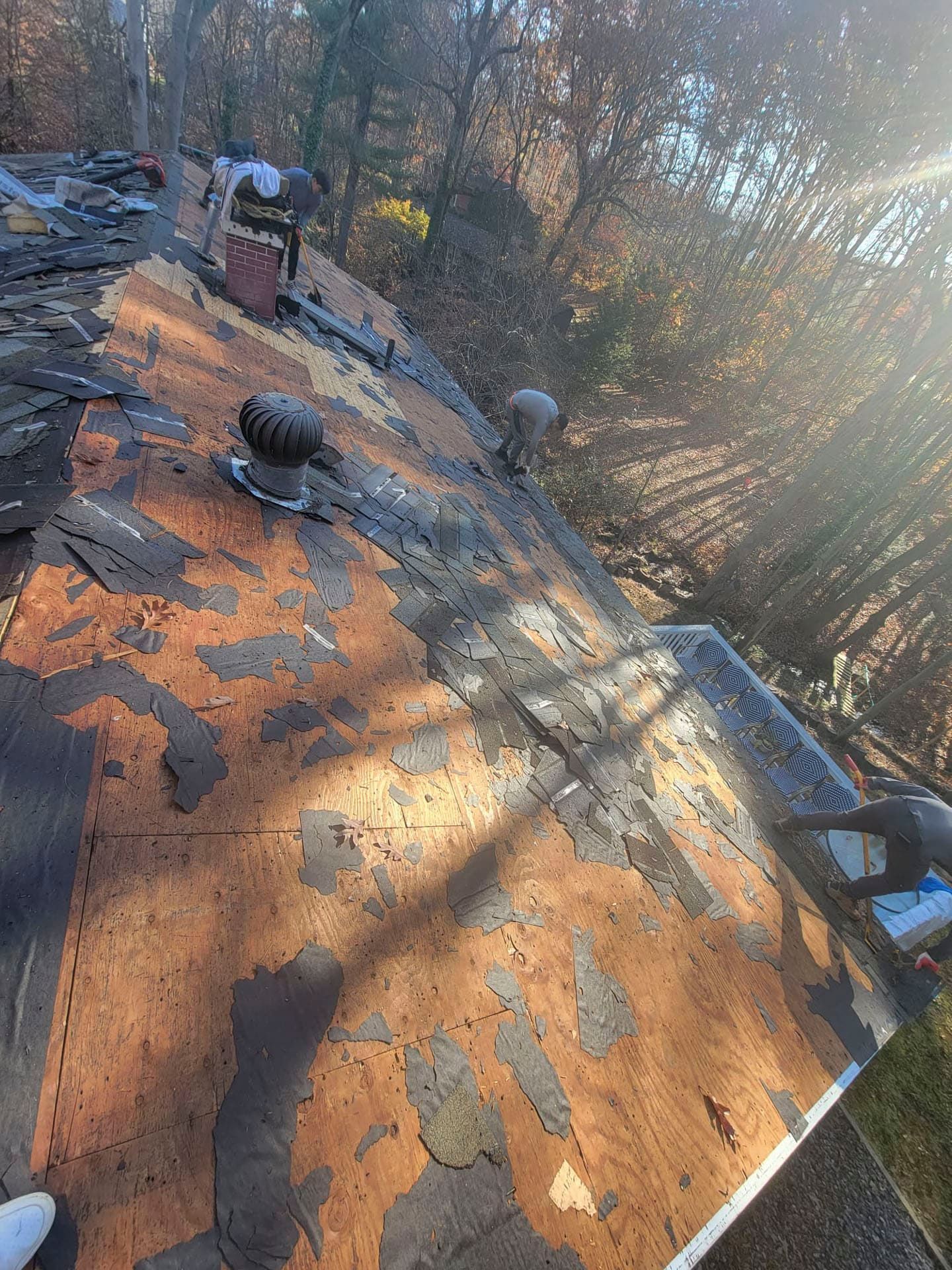 Worker on a steep, leaf-covered roof repairing shingles in autumn woods