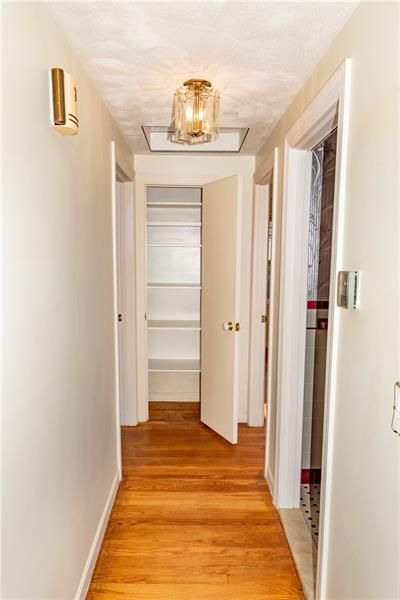 Hallway with hardwood floor, doors, and a light fixture. A closet is open, revealing shelves.