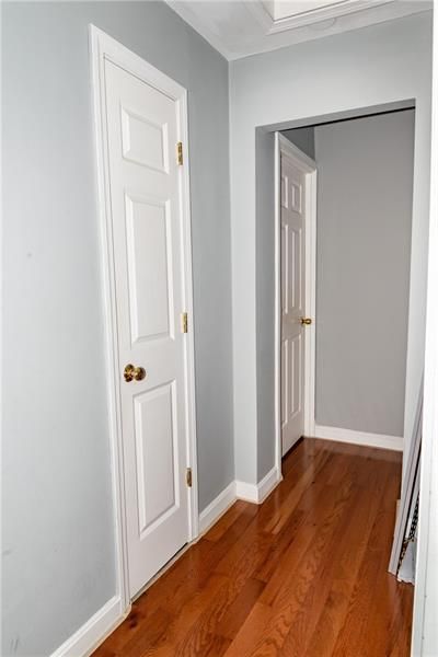 Hallway with wood floor, white doors, and light blue walls.