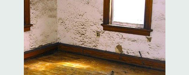 Mold detection