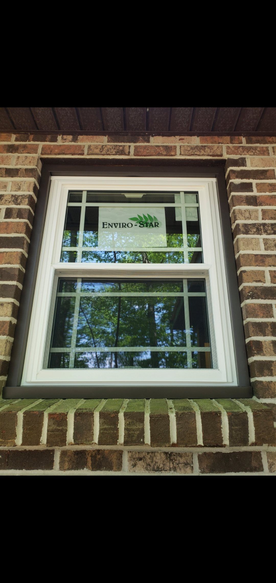 Brick exterior with white-framed window. Green foliage visible through glass panes.