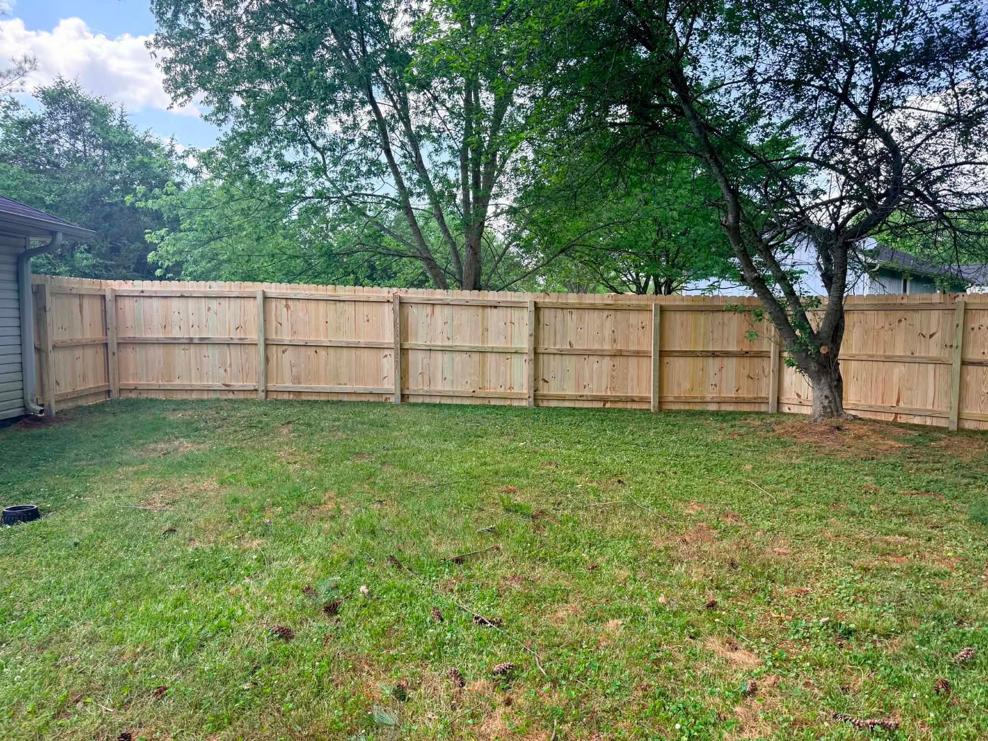 Grassy backyard with a wooden privacy fence and trees under a cloudy sky.