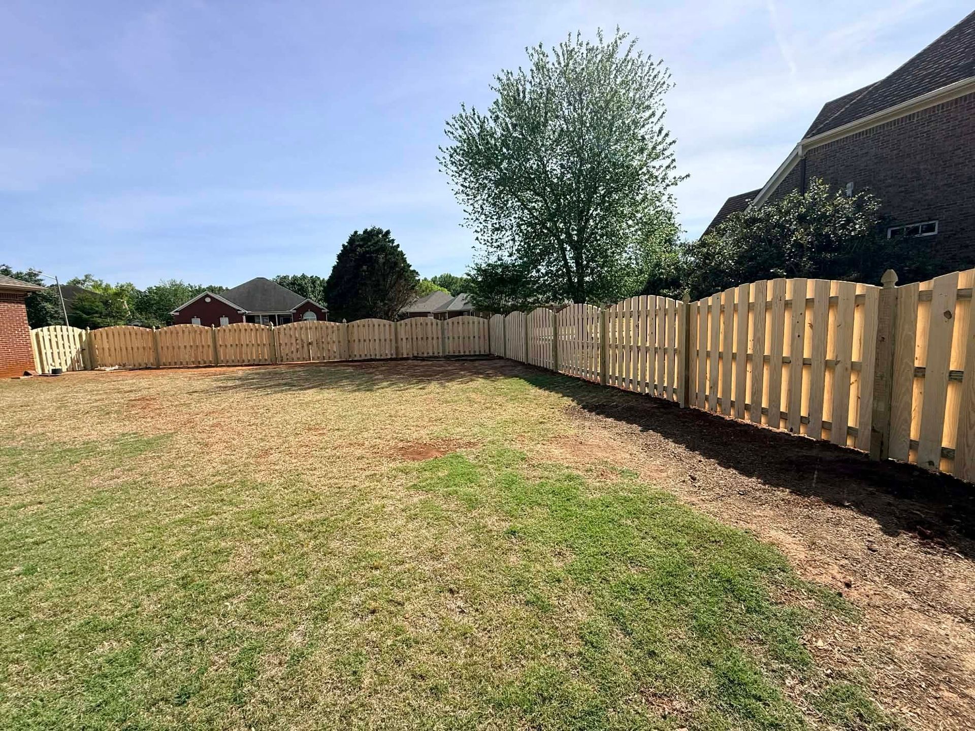 Backyard with a large grassy lawn, wooden fence, and a tree under a clear blue sky.
