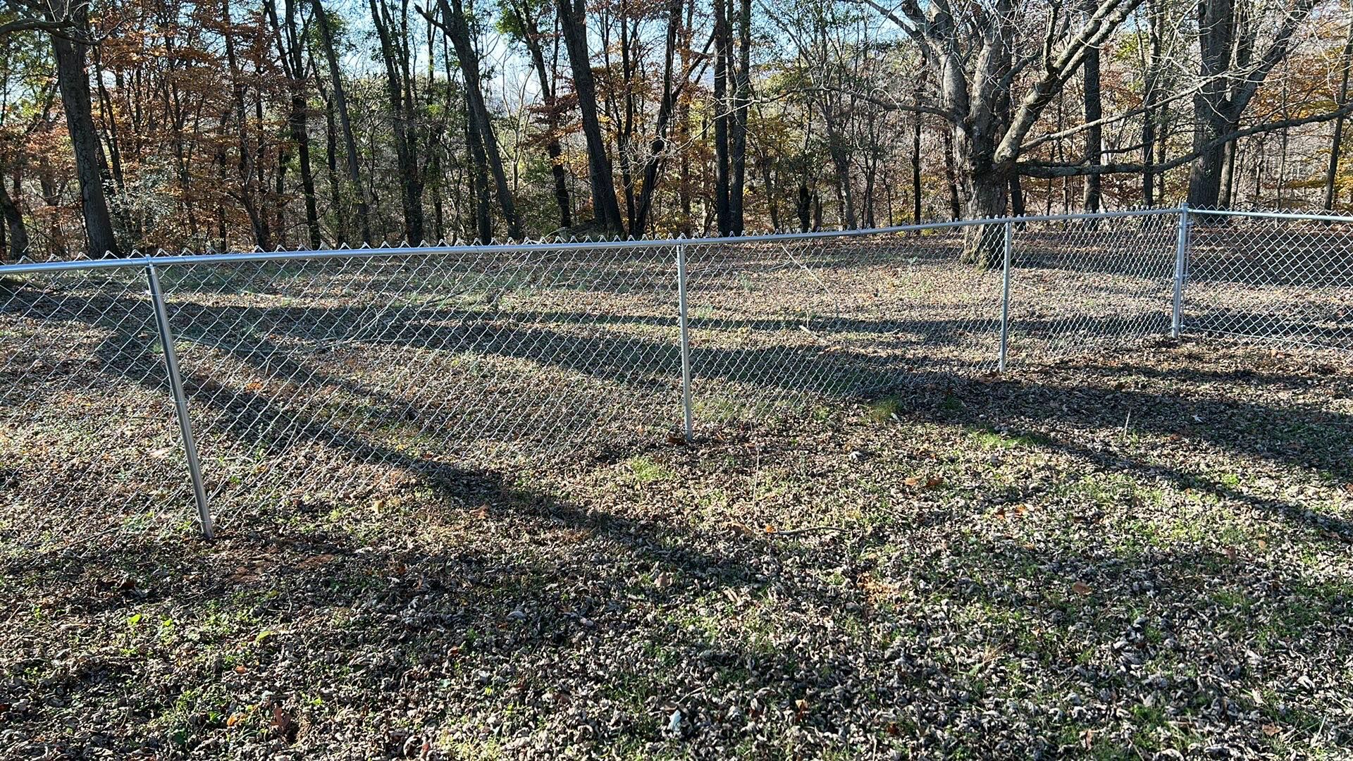 Chain-link fence in front of a forest, casting shadows on the brown grass.