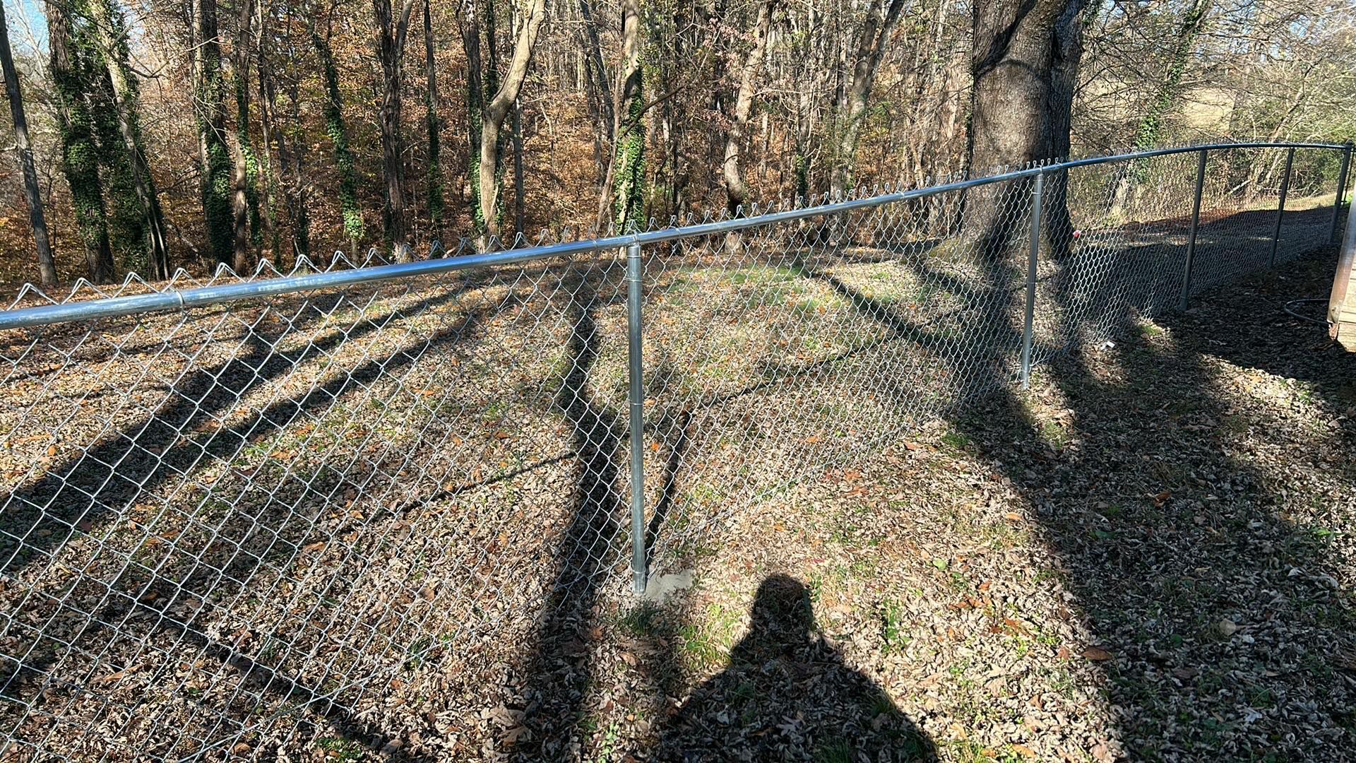 Chain-link fence in a wooded area on a sunny day with fallen leaves.