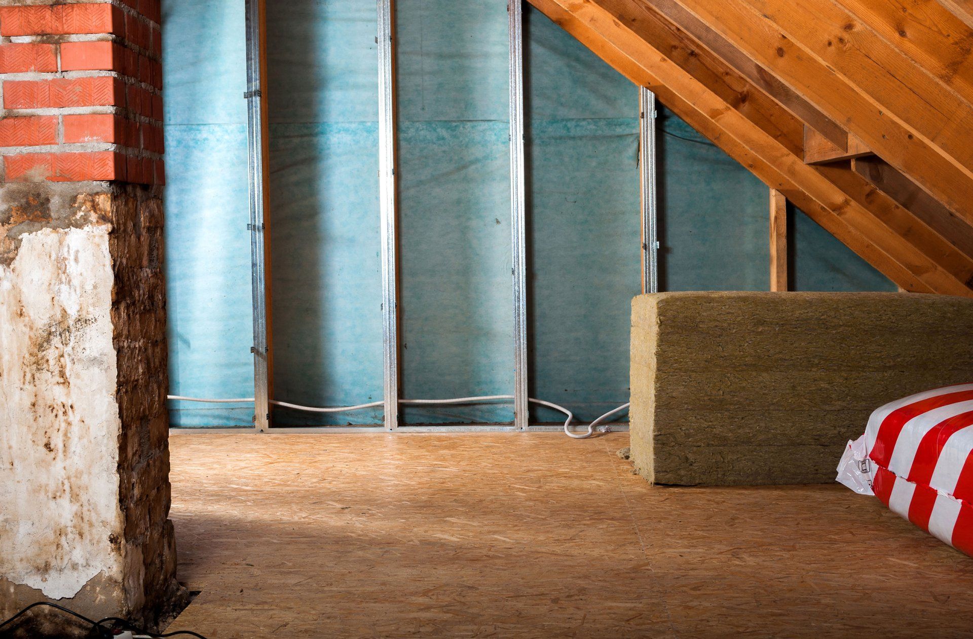Attic inspection and treatment