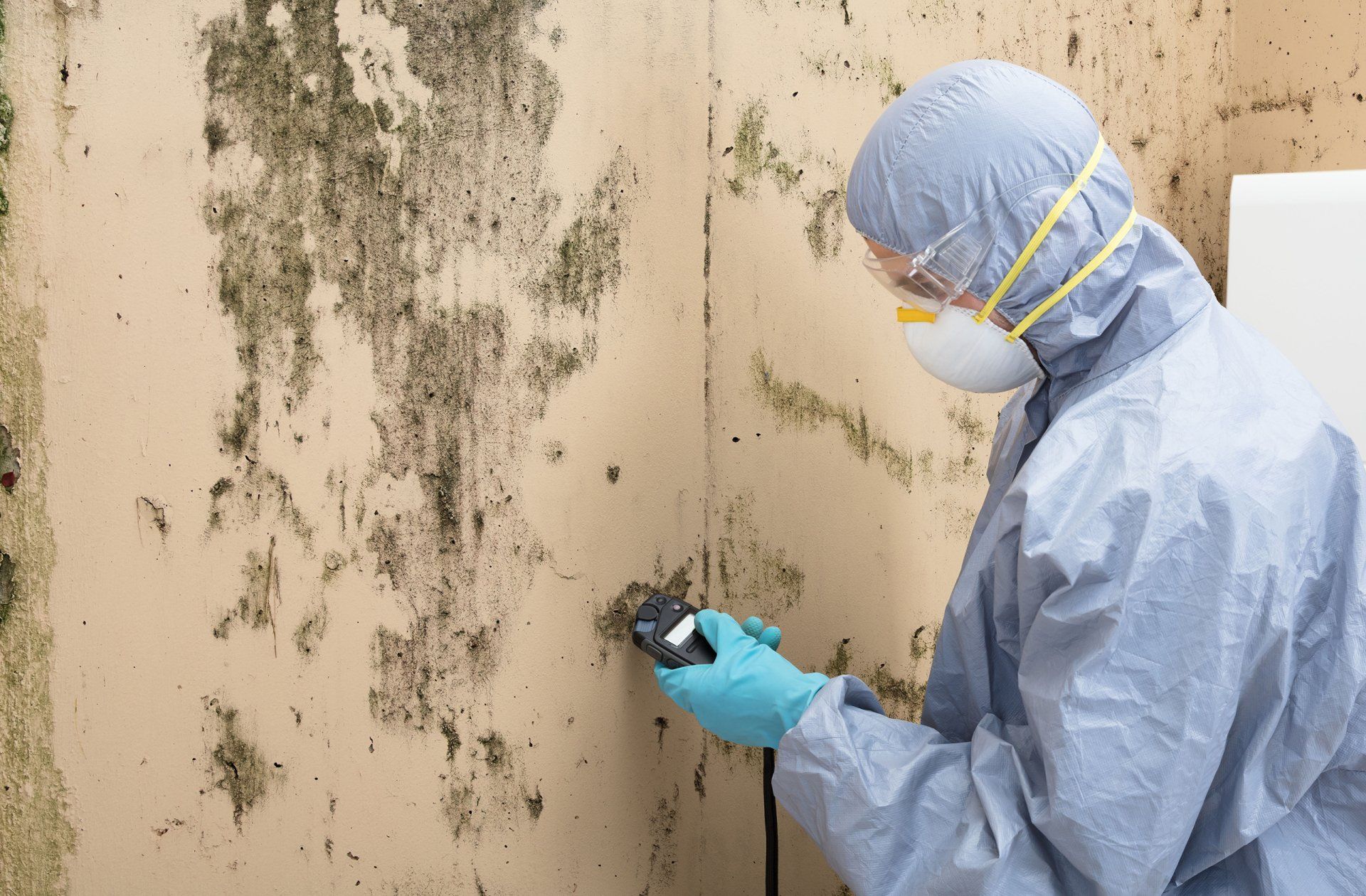 Mold remediation