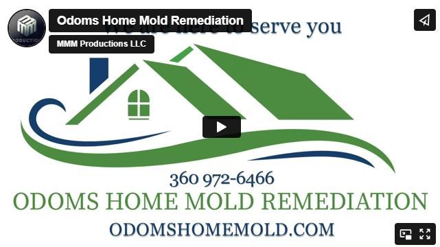 Odoms Home Mold Remediation Inc. video